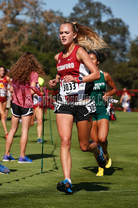 2014StanfordCollWomen-273.JPG - College race at the 2014 Stanford Cross Country Invitational, September 27, Stanford Golf Course, Stanford, California.